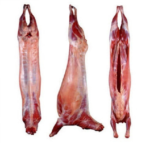 Lamb Carcass