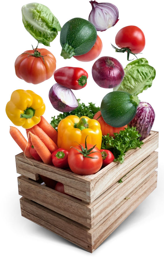 Fresh Vegetables