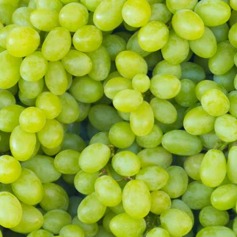 Grapes