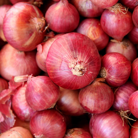 Onion