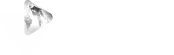 Soha International Logo