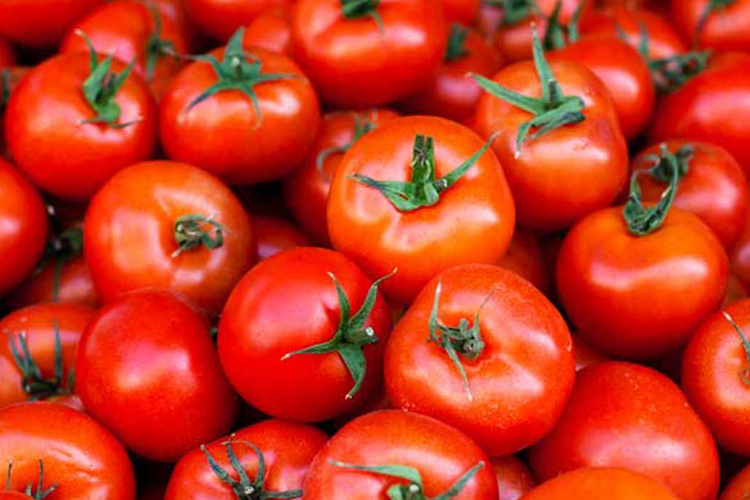 Tomato